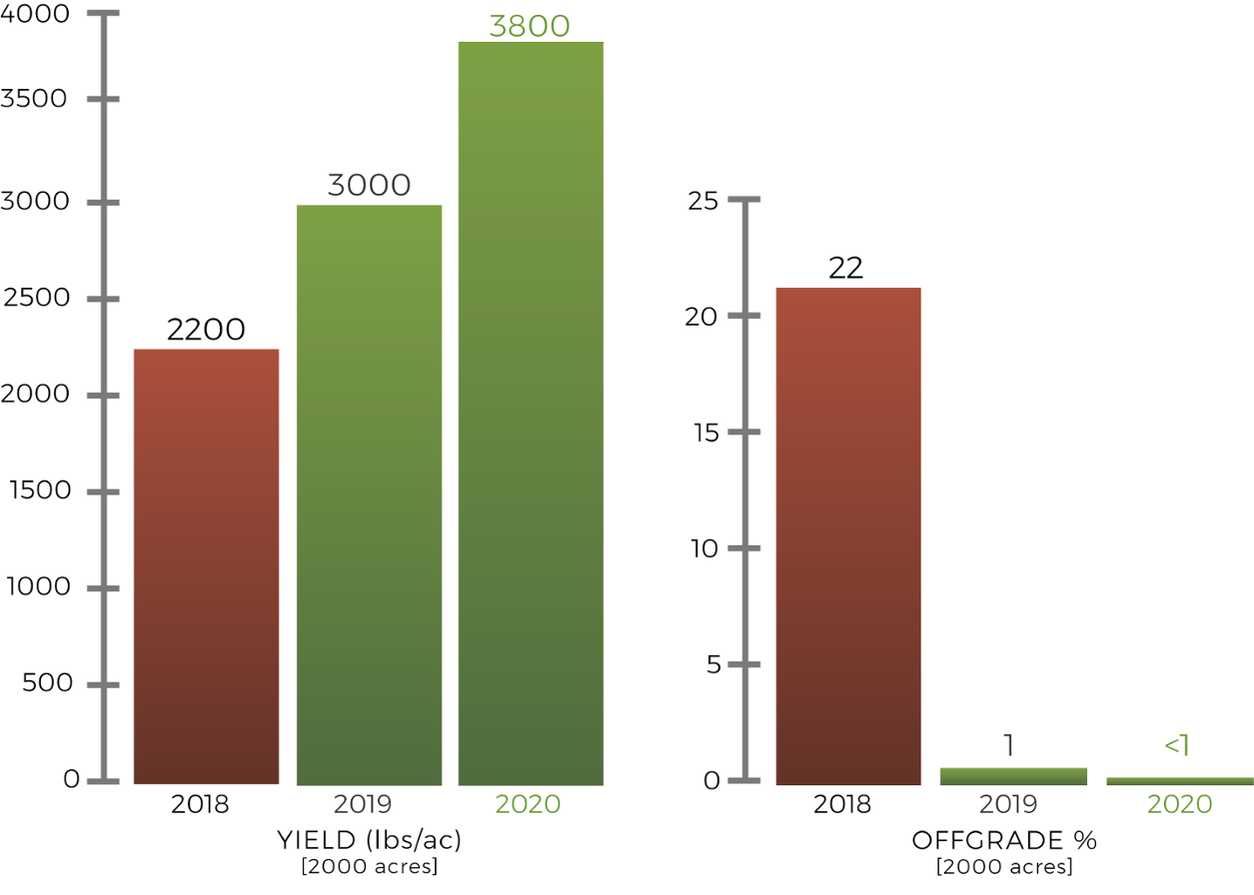 Almond Graph Almond Graph