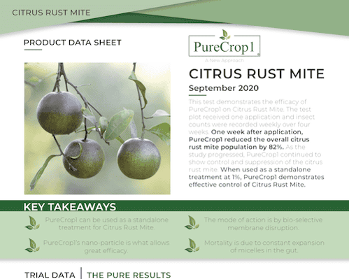 One-Sheet-Insert CITRUS RUST MITE
