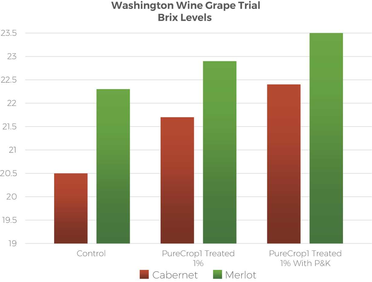 Wine Grape Chart Wine Grape Chart