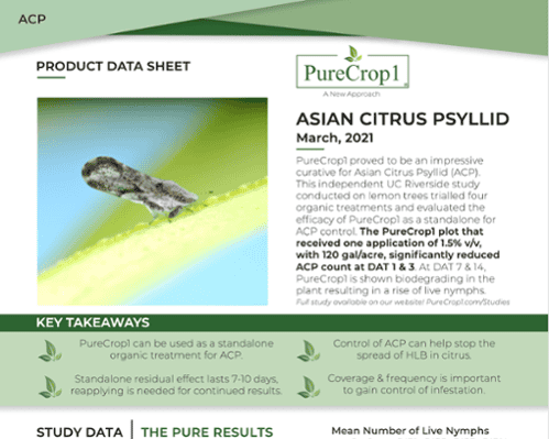 ACP - Asian Citrus Psyllid - Trials Report