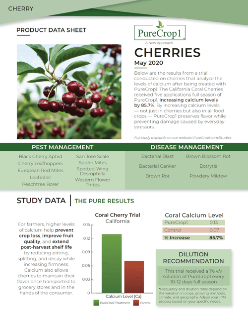 Cherry Report 1