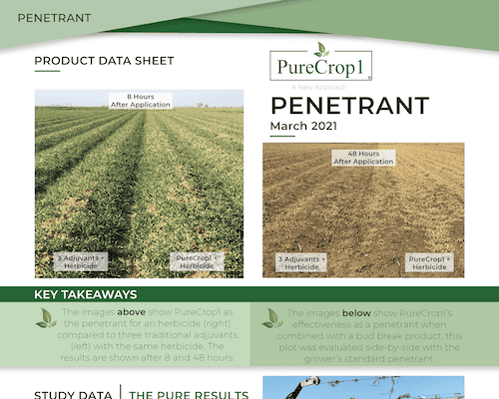 One-Sheet-Insert_PENETRANT